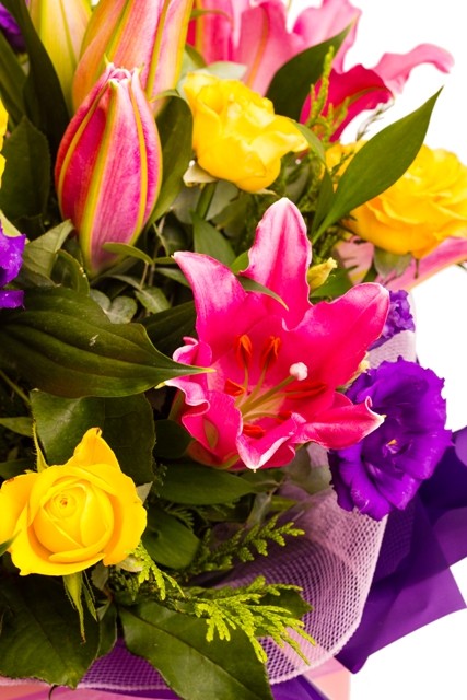 Florist Choise Sorpresa Box Bright Colours
