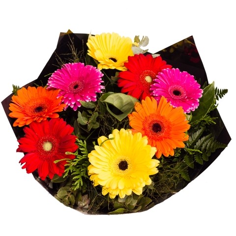 Gerbera Bouquet