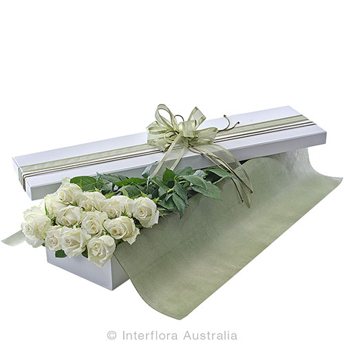 white roses presentation  box