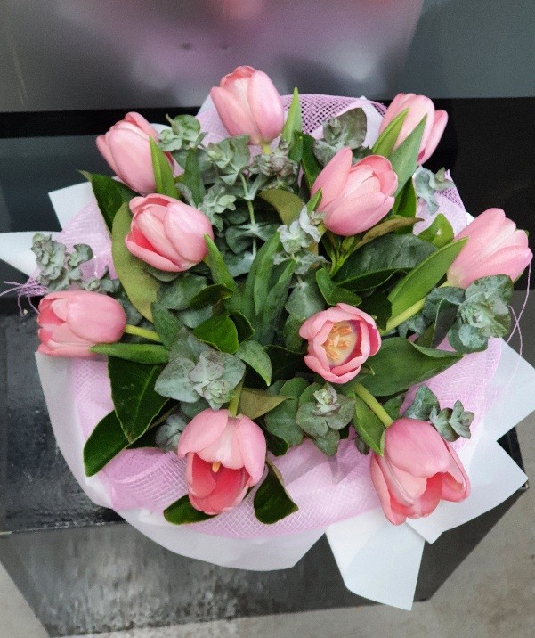 Pink Tulips